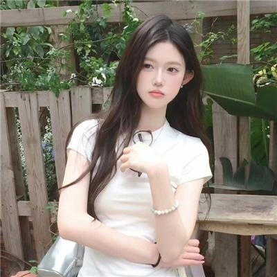 功夫机器侠之南拳